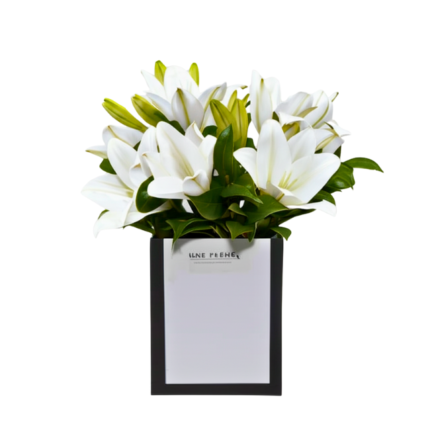 Arranjo sofisticado de lírios brancos dispostos em elegante caixa estruturada branca com moldura preta, acompanhado de folhagens verdes, transmitindo elegância, pureza e um design clássico.