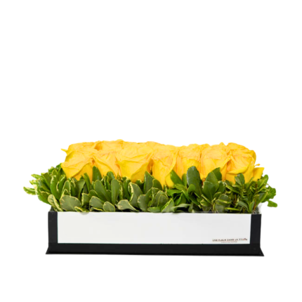 Arranjo de rosas amarelas em caixa retangular com folhagens verdes, presente de luxo para homens sofisticados em Moema.