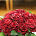 24 Rosas Vermelhas - Mon Amour