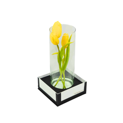 Tulipas Amarelas em Vaso - Zaya P
