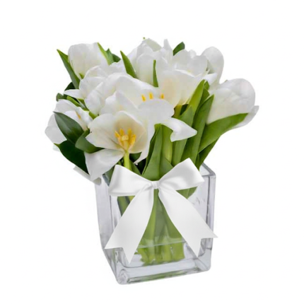 Arranjo de tulipas brancas frescas em vaso de vidro transparente com laço branco decorativo, ideal para presente e decoração