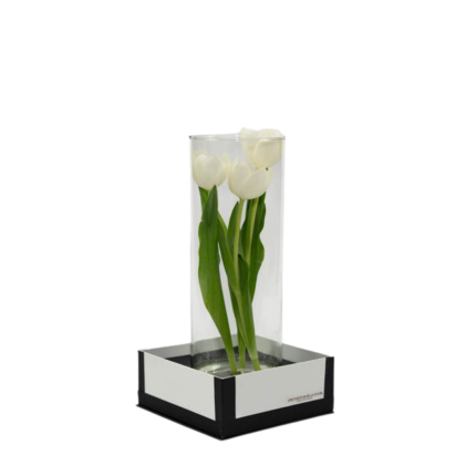 Tulipas Brancas em Vaso - Zaya P