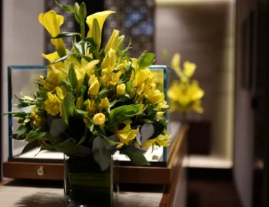 8 Espécies ideais para transformar seu Escritório