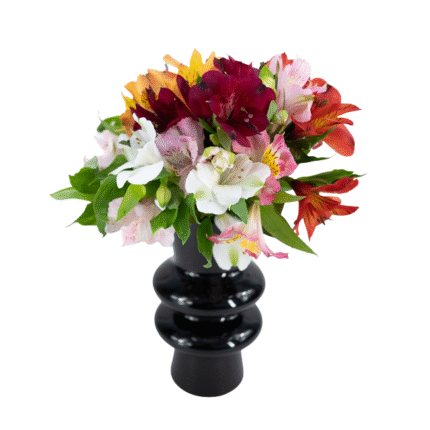 Arranjo de alstroemérias coloridas em vaso preto de design contemporâneo, ideal para presentes ou decoração de eventos sofisticados.
