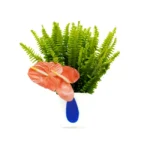 Arranjo com samambaias e antúrios em vaso de vidro polonês branco com detalhe azul