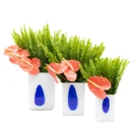 Antúrios em Trio de Vasos Vintage