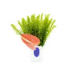 Arranjo com samambaias e antúrios em vaso de vidro polonês branco com detalhe azul.