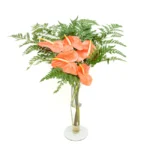 Arranjo de antúrios vermelhos com folhagem avencão em vaso tulipa de vidro transparente – presente elegante da Une Fleur dans la Ville.