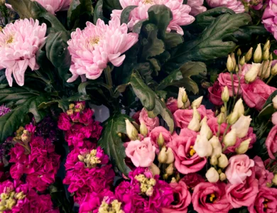 Descubra a Beleza das Flores Rosas: Dicas de Cultivo e Cuidados Essenciais