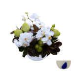 Arranjo floral de orquídeas brancas com asclepsias e dracena em bol de vidro polonês branco com detalhe azul, usado para decoração de interiores ou presente de luxo