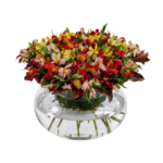 Arranjo floral de alstroemérias coloridas em tons de vermelho, amarelo e rosé, disposto em vaso de vidro transparente com design moderno, ideal para decoração elegante em São Paulo.