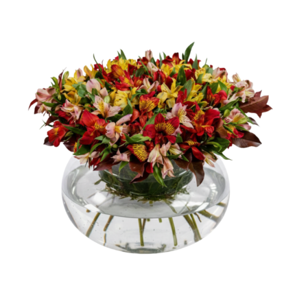 Arranjo floral de alstroemérias coloridas em tons de vermelho, amarelo e rosé, disposto em vaso de vidro transparente com design moderno, ideal para decoração elegante em São Paulo.