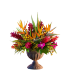 Arranjo Tropical Très Chic em Vaso Clássico | Flores Exuberantes