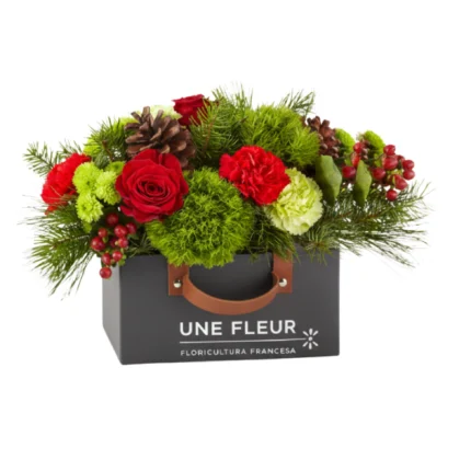 box natalino tres chic