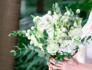 Flores Brancas_ Significados e Simbolismos