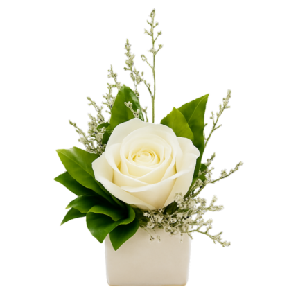 Arranjo individual Rosa Única Blanche Lulu em vaso cerâmico branco com folhagens delicadas para presente de luxo e eventos corporativos em São Paulo.