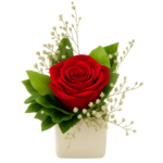 Arranjo individual de rosa vermelha premium em cachepô branco Lulu para brinde corporativo de Dia da Mulher em São Paulo.