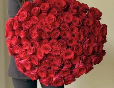 Valentine's Day no Brasil: Guia Completo de Flores e Presentes