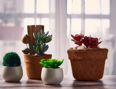 Vaso certo para cada tipo de flor_ guia completo para acertar na composição