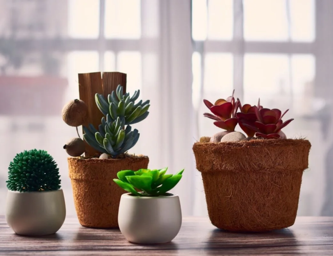 Vaso certo para cada tipo de flor_ guia completo para acertar na composição