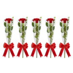 Kit com cinco rosas colombianas vermelhas em embalagem cristal transparente com laços de cetim para brinde corporativo de luxo em São Paulo.