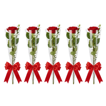 Kit com cinco rosas colombianas vermelhas em embalagem cristal transparente com laços de cetim para brinde corporativo de luxo em São Paulo.