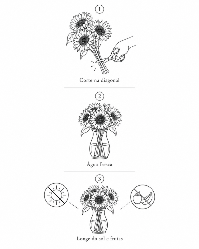cuidado girassol une fleur